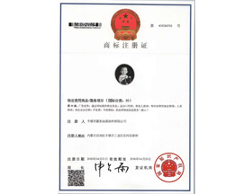 豐鎮市蒙東油漆塗料有限公司商标注冊